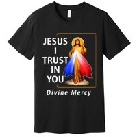 Jesus I Trust In You Divine Mercy Catholic Premium T-Shirt