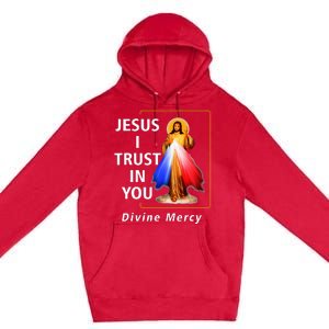 Jesus I Trust In You Divine Mercy Catholic Premium Pullover Hoodie