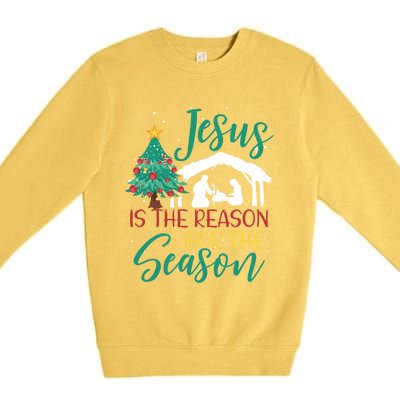 Jesus Is The Reason For The Season Christian Believer Gift Premium Crewneck Sweatshirt