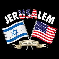 jerusalem israel usa american flag T-Shirt