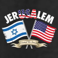 Jerusalem Israel Usa American Flag 7 Panel Mesh Trucker Snapback Hat