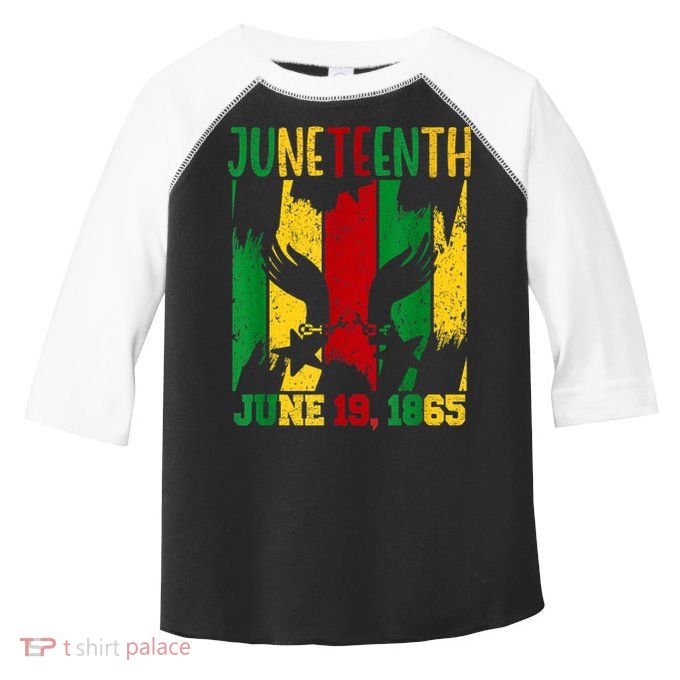 Juneteenth June 19th 1865 Juneteenth Freedom Day Toddler Fine Jersey T-Shirt