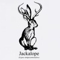 Jackalope Cooling Performance Crew T-Shirt
