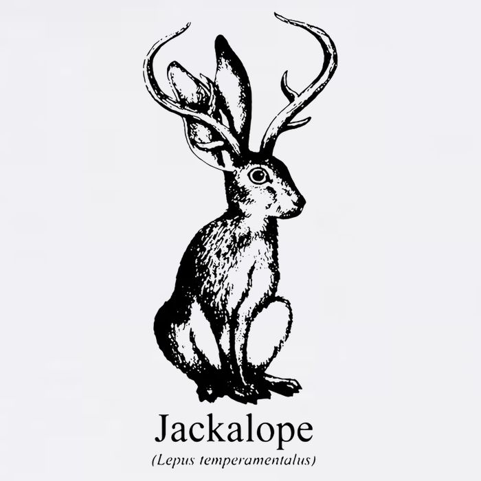 Jackalope Cooling Performance Crew T-Shirt