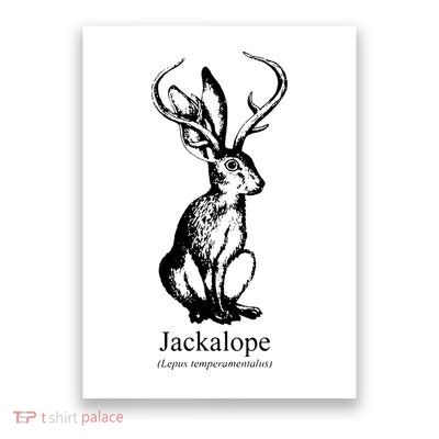Jackalope Poster