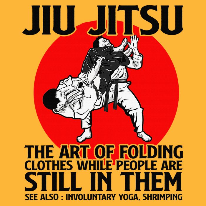 Jiu Jitsu Art of folding clothes while people still in them Pom Pom 12in Knit Beanie
