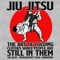 Jiu Jitsu Art of folding clothes while people still in them Ladies PosiCharge Tri-Blend Wicking Tank