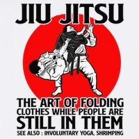 Jiu Jitsu Art of folding clothes while people still in them Sweatshirt