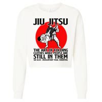 Jiu Jitsu Art of folding clothes while people still in them Cropped Pullover Crew