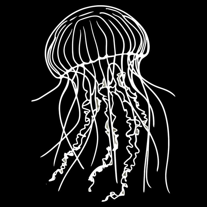 Jellyfish Cooling Performance Crew T-Shirt