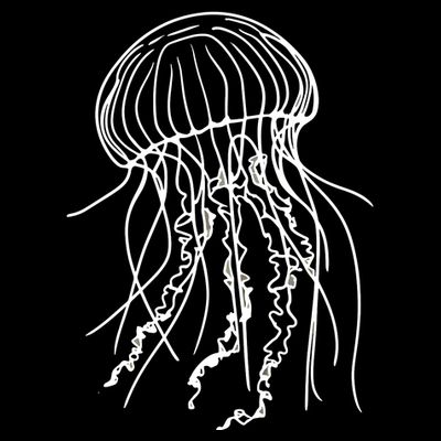 Jellyfish T-Shirt