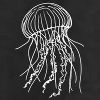 Jellyfish Adult Drive Performance Visor