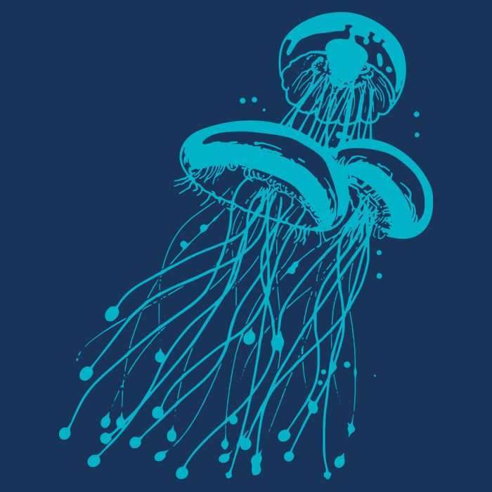Jellyfish 16 in Basic Backpack