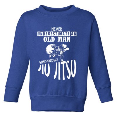 Jiu Jitsu Toddler Sweatshirt