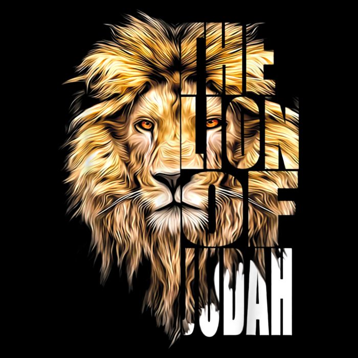 Jesus Lion Of Judah Christian Gift For Men Women Youth Performance Sprint T-Shirt