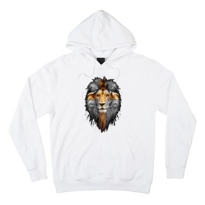 Jesus Lion Of Judah Hoodie