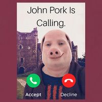 John Pork Is Calling Fuuny Answer Call Phone  16oz Travel Tumbler