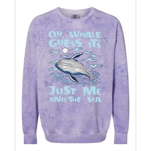 Just Me And The Sea Blue Beluga Cetacea Whale Watching Colorblast Crewneck Sweatshirt