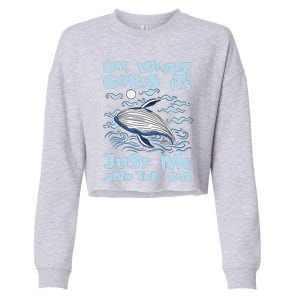 Just Me And The Sea Blue Beluga Cetacea Whale Watching Cropped Pullover Crew