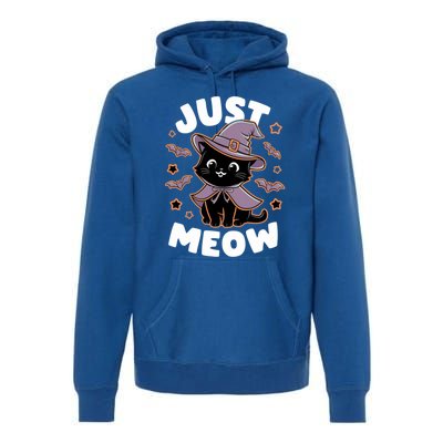 Just Meow Cute Black Cat Halloween Witch Costume Funny Gift Premium Hoodie