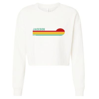 Jackson Michigan Cropped Pullover Crew