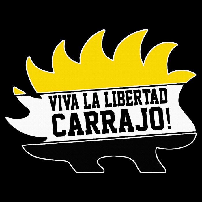 Javier Milei Presidente 2024 Libertarian Viva La Libertad Short Acrylic Beanie