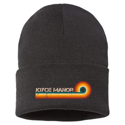 Joyce Manor Retro Stripes Musician Sustainable Knit Beanie