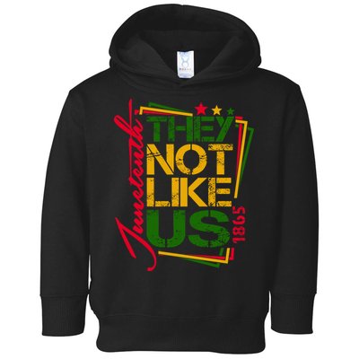 Juneteenth Not Like Us Not Like Us African American Freedom 1865 Toddler Hoodie