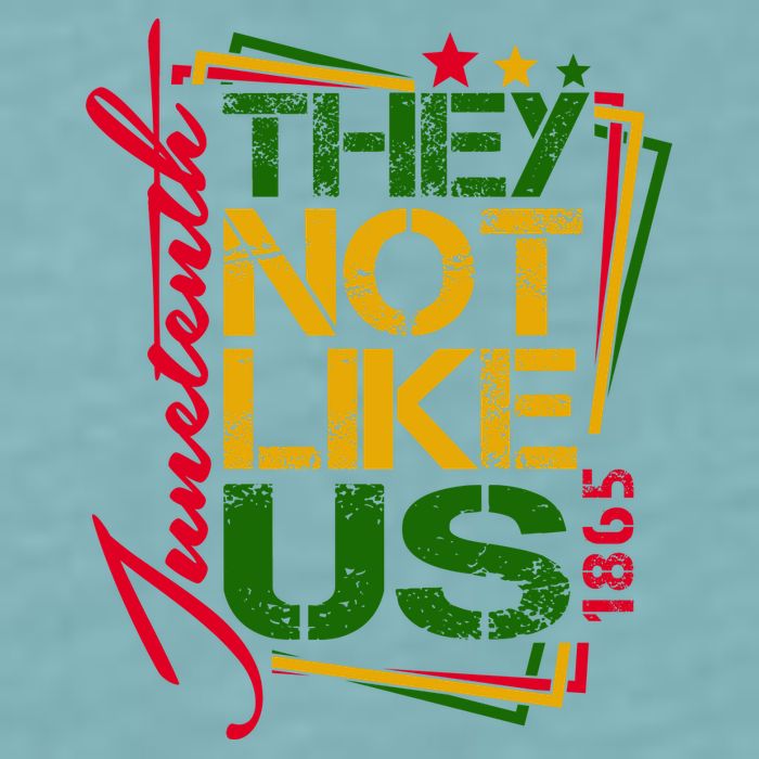 Juneteenth Not Like Us Not Like Us African American Freedom 1865 Sueded Cloud Jersey T-Shirt