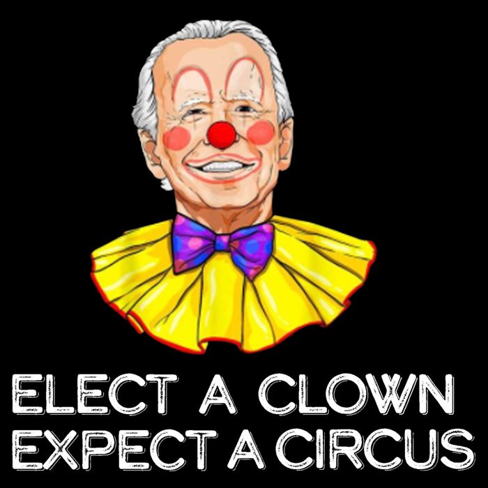 Joe Biden Elected A Clown Circus 7-Panel Snapback Hat