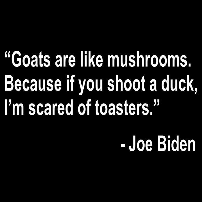 Joe Biden Funny Quote USA-Made Doggie Bandana