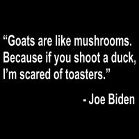 Joe Biden Funny Quote Toddler T-Shirt