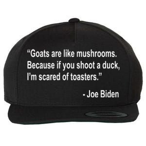 Joe Biden Funny Quote Wool Snapback Cap