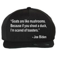 Joe Biden Funny Quote Wool Snapback Cap