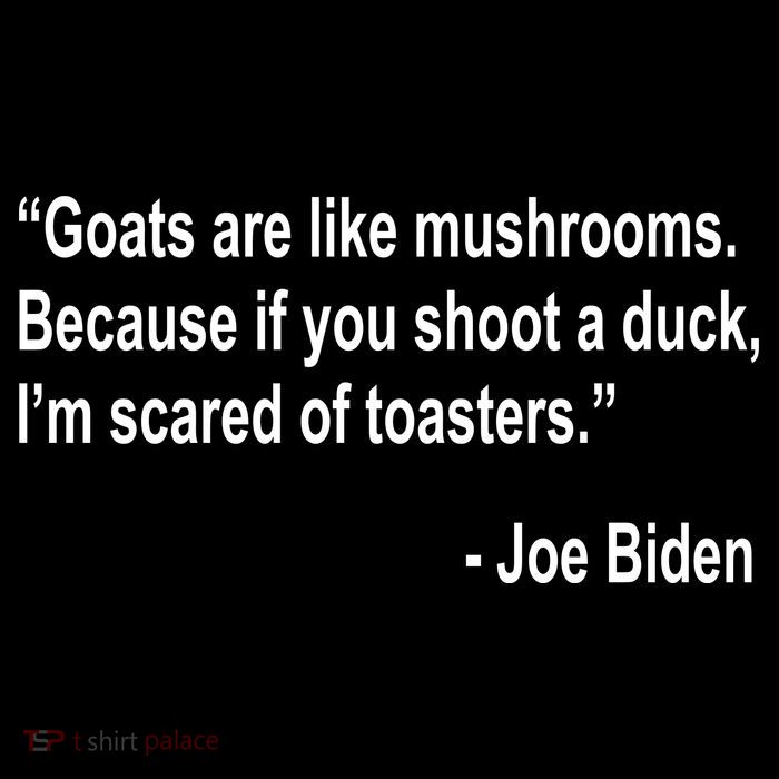 Joe Biden Funny Quote Wool Snapback Cap