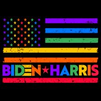 Joe Biden Kamala Harris LGBT USA Flag Mug