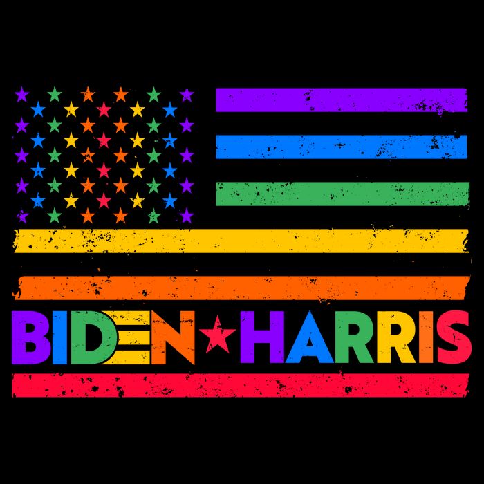 Joe Biden Kamala Harris LGBT USA Flag Mug