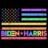 Joe Biden Kamala Harris LGBT USA Flag Poster