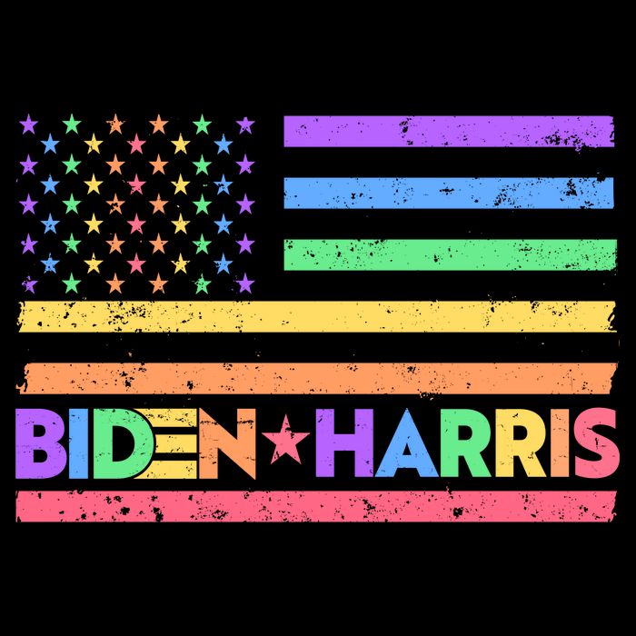 Joe Biden Kamala Harris LGBT USA Flag Poster