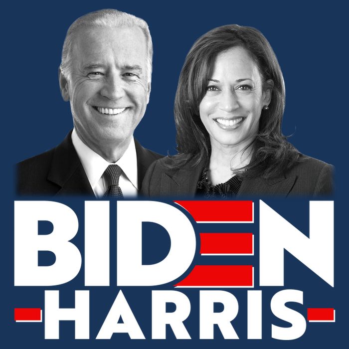 Joe Biden Kamala Harris Portraits 2020  T-Shirt