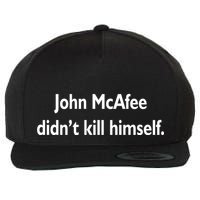 John McAfee Didn't Kill Himself Wool Snapback Cap