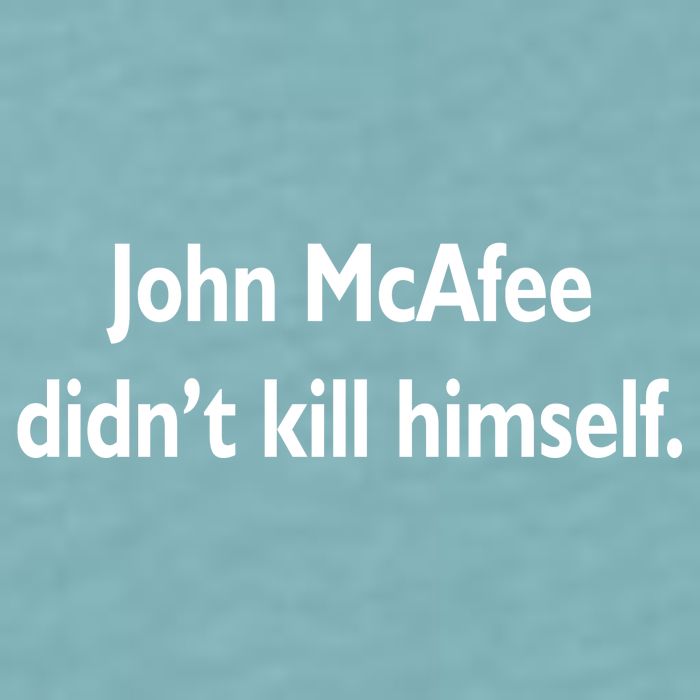 John McAfee Didn't Kill Himself Sueded Cloud Jersey T-Shirt