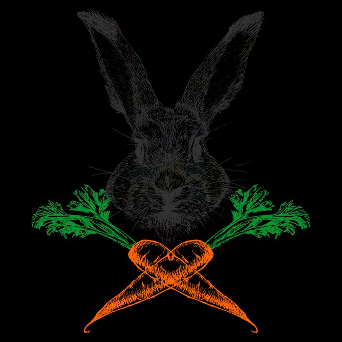 Jolly Roger Easter Bunny Crossbone Carrots Rabbit 7-Panel Snapback Hat