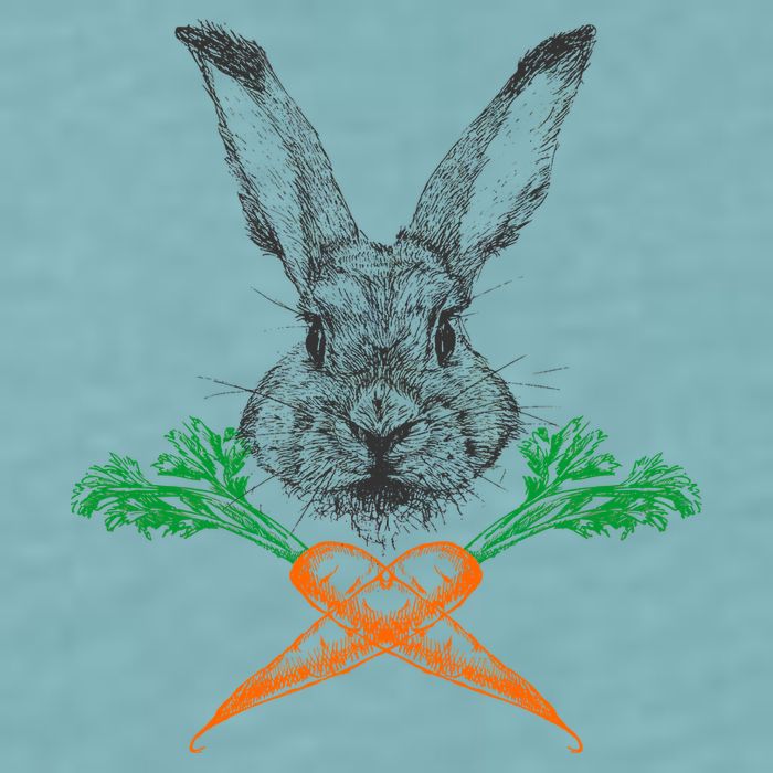Jolly Roger Easter Bunny Crossbone Carrots Rabbit Sueded Cloud Jersey T-Shirt