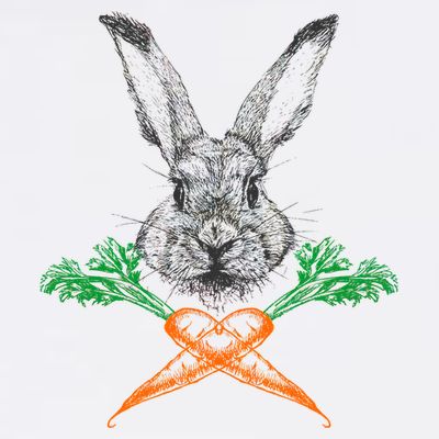 Jolly Roger Easter Bunny Crossbone Carrots Rabbit T-Shirt