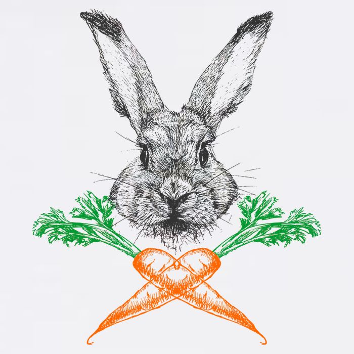 Jolly Roger Easter Bunny Crossbone Carrots Rabbit Button