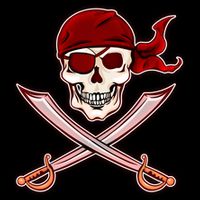 Jolly Roger Pirate Skull Flag Logo Toddler T-Shirt