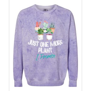 Just One More Plant I Promise Gift Houseplant Appreciation Day Gift Colorblast Crewneck Sweatshirt