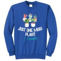 Just One More Plant I Promise Gift Houseplant Appreciation Day Gift Sweatshirt