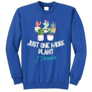 Just One More Plant I Promise Gift Houseplant Appreciation Day Gift Tall Sweatshirt